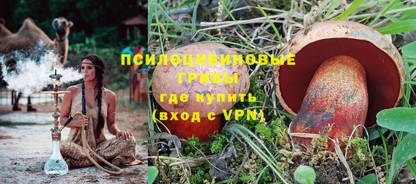дмт Алзамай
